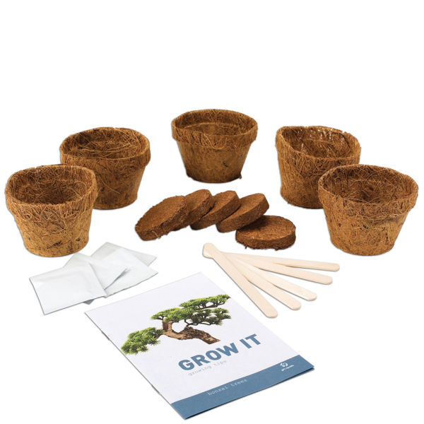 Grow Your Own Bonsai Trees Gift Box IWOOT