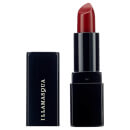 Antimatter Lipstick (Various Shades)