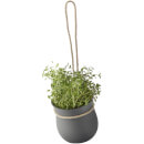RIG-TIG Grow-It Herb Pot - Grey