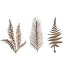 Nkuku Kiko Brass Foliage Artwork - Small - Matt Brass (Set of 3)