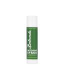 Lip Balm 0.2 fl. oz Lip Balm 0.2 fl. oz