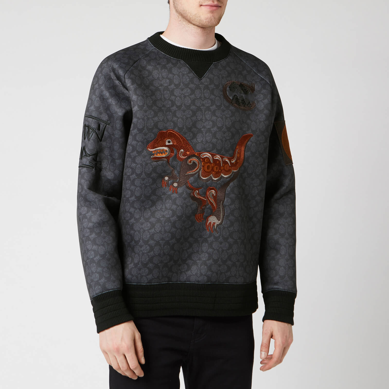 men's coach sweatshirt