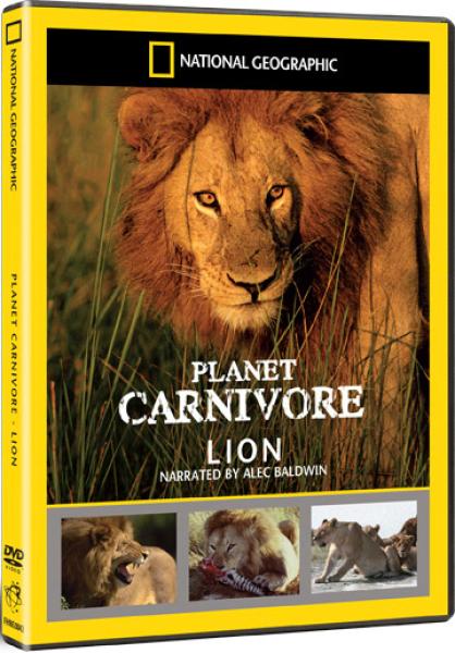 National Geographic: Planet Carnivore Box Set - Lion DVD | Zavvi