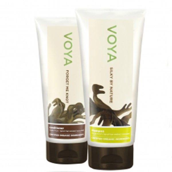 Voya Baxter Login Login pages Info