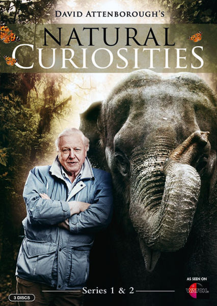 Natural Curiosities Search Results Isohunt Torrent
