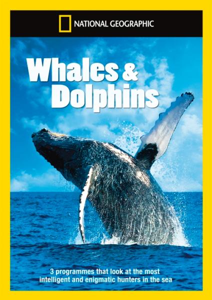 National Geographic: Whales & Dolphins Collection DVD | Zavvi