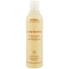 Aveda Scalp Benefits Balancing Shampoo (250ml) | Free ...