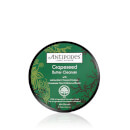 Grapeseed Butter Face Cleanser 75g