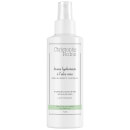 CHRISTOPHE ROBIN HYDRATING LEAVE-IN MIST WITH ALOE VERA