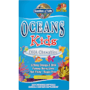 Детские жевательные капсулы Омега-3 со вкусом ягод и лайма Oceans Kids' DHA Chewables Omega-3 Softgels - Berry Lime - 120 капсул