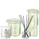 Grapefruit Lime & Mint Home Fragrance Duo