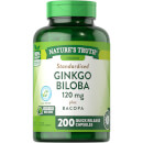 Standardised Extract Ginkgo Biloba 120mg