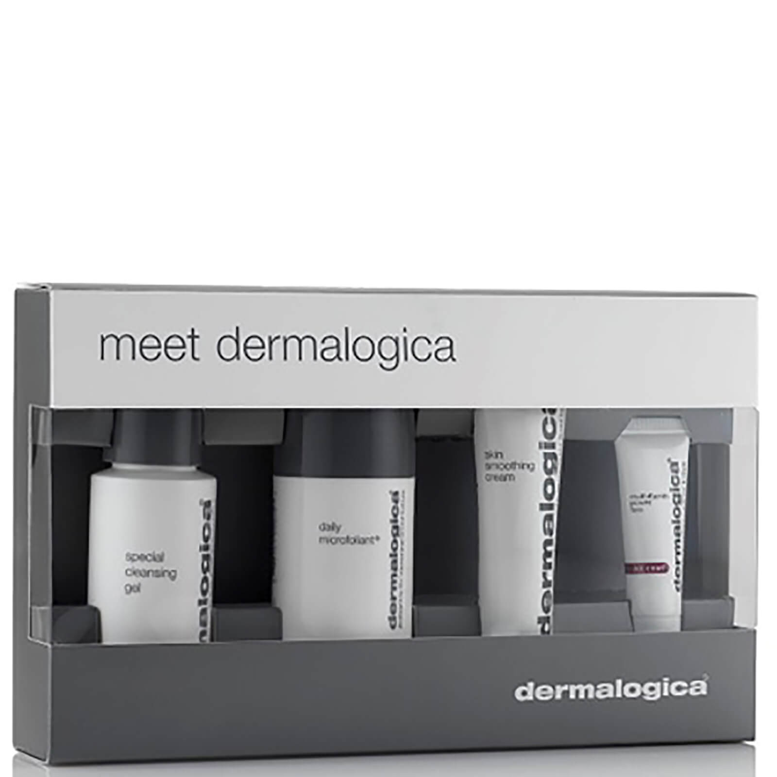 dermalogica travel set