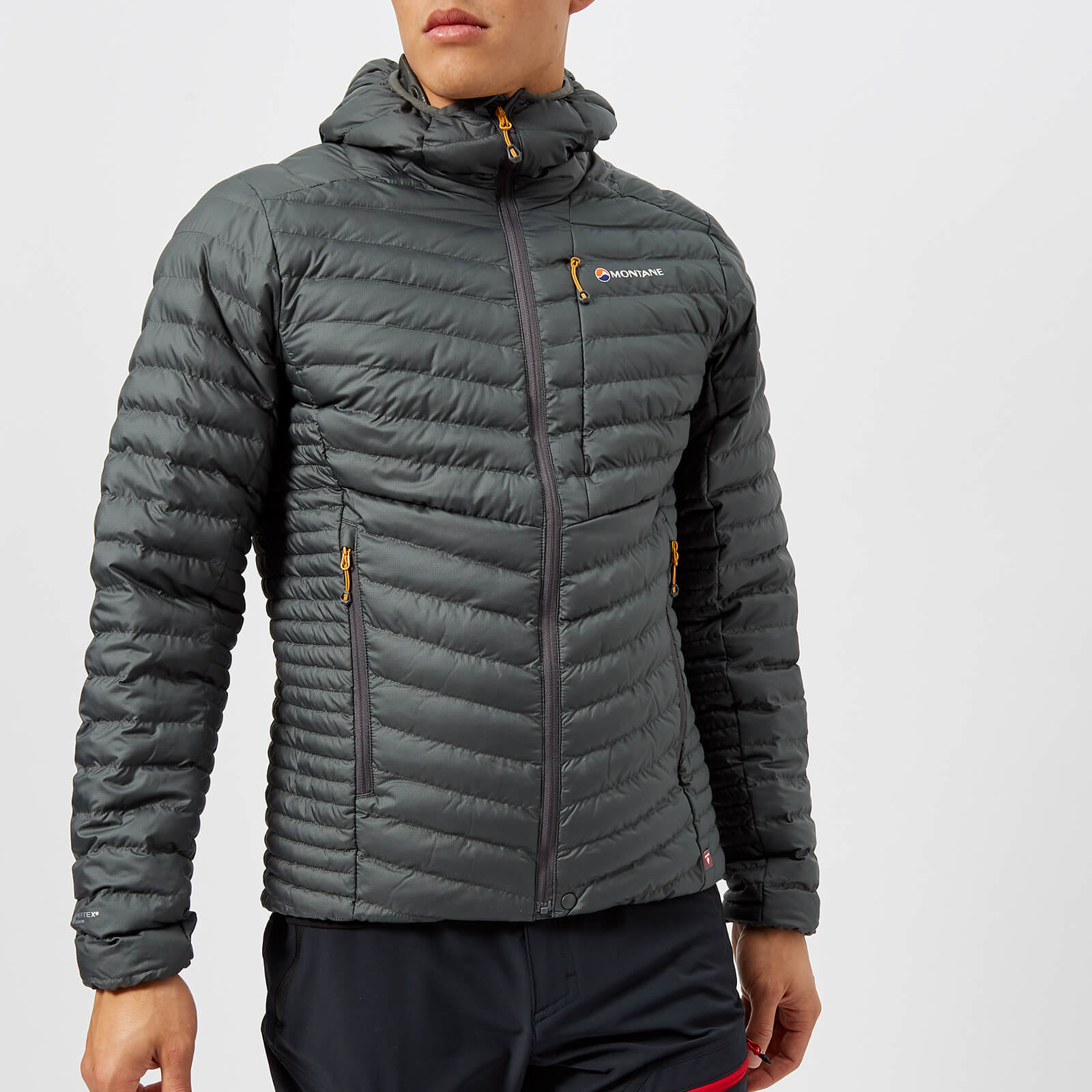 montane icarus micro