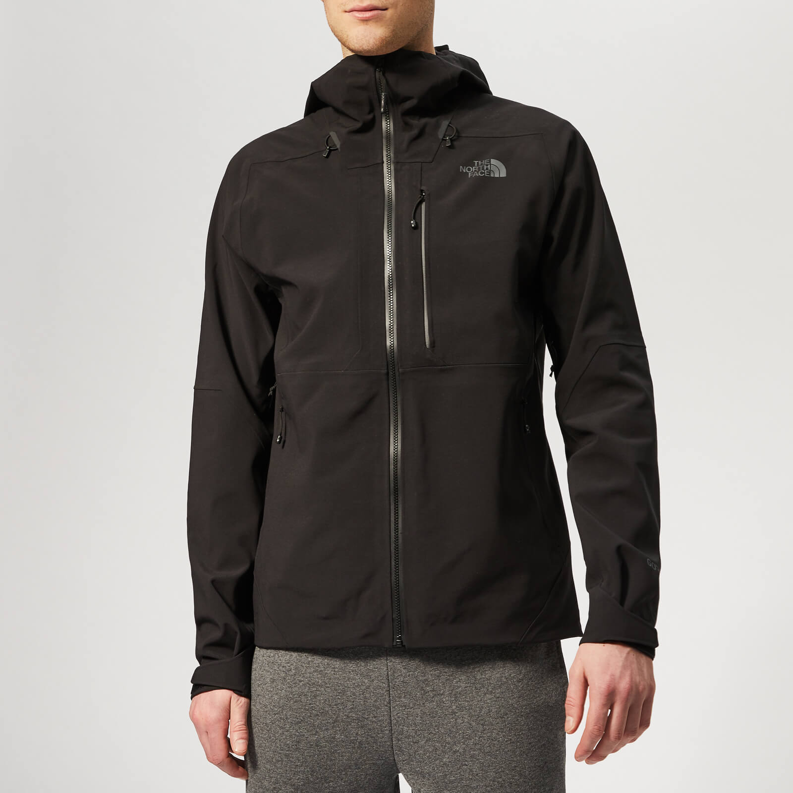 north face apex flex goretex 2.0