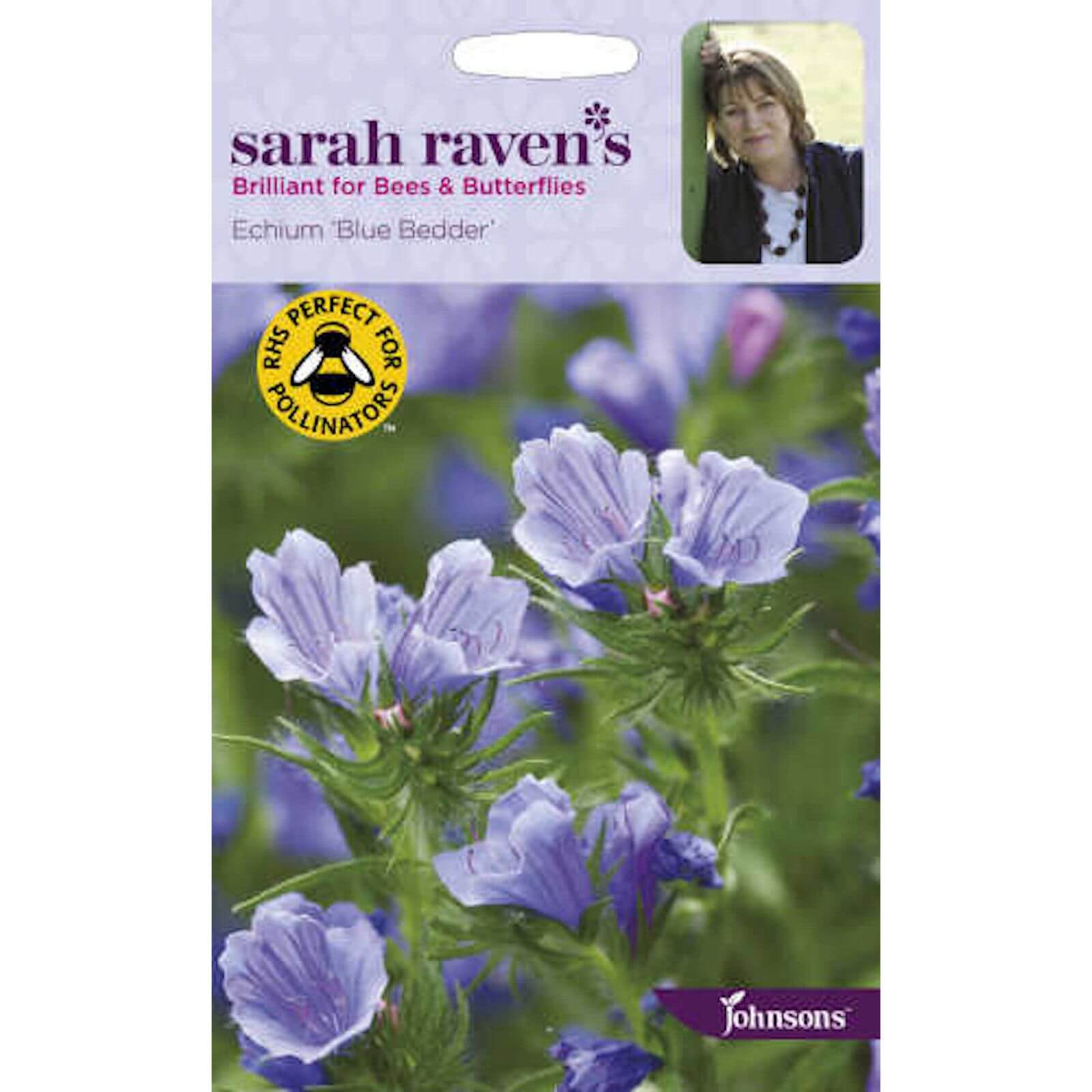 Sarah Ravens Echium Blue Bedder Seeds Homebase