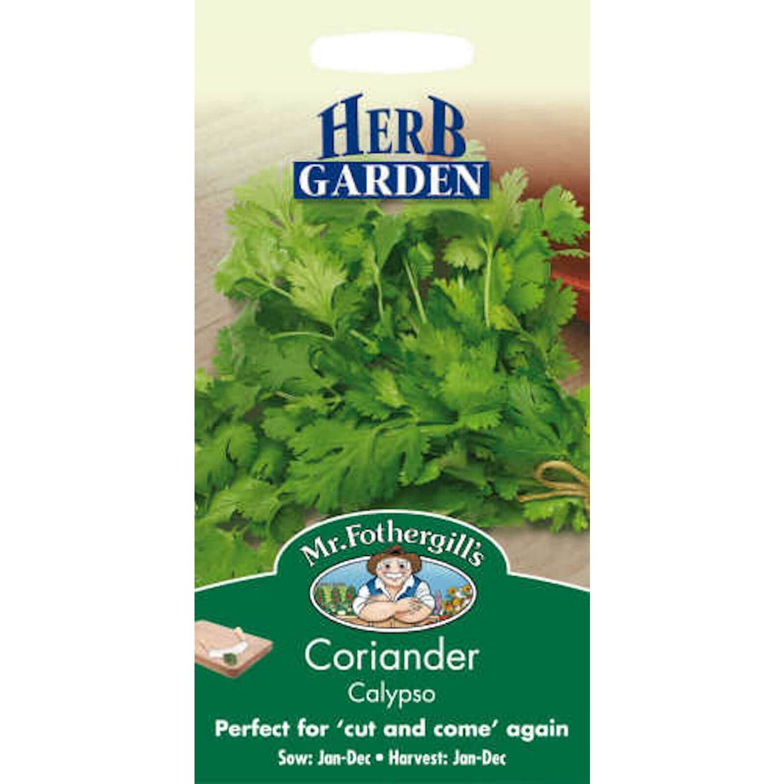 Coriander Herb Seeds Homebase