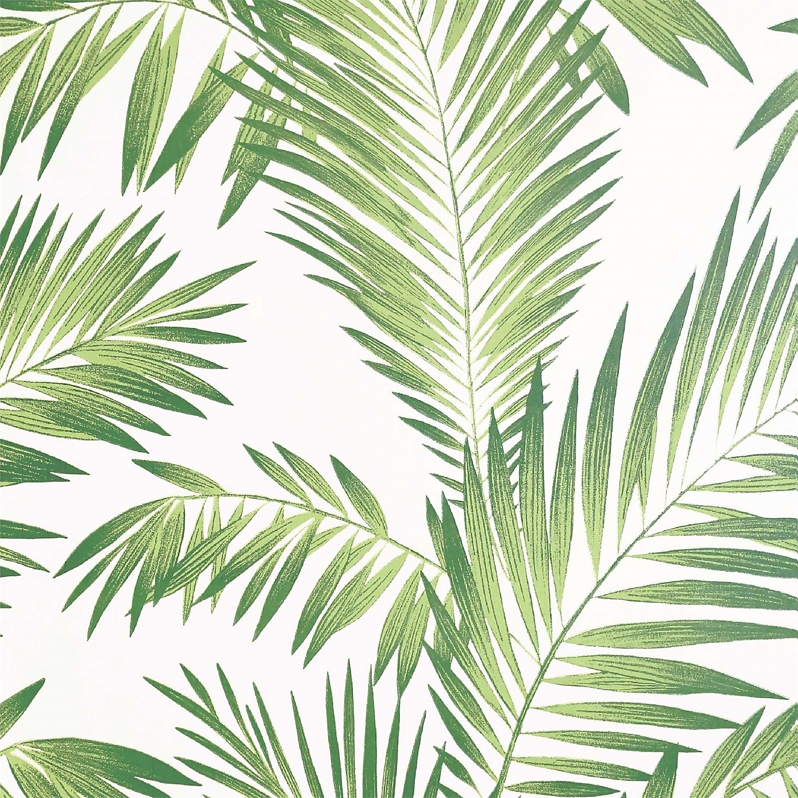 Tropical Palm Geen Artistick Wallpaper Homebase