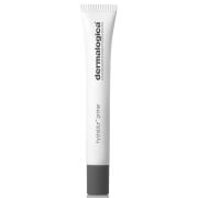 Dermalogica HydraBlur Primer 22ml