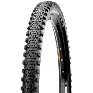 Maxxis Minion SS Folding EXO TR Tyre