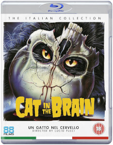 A Cat In The Brain