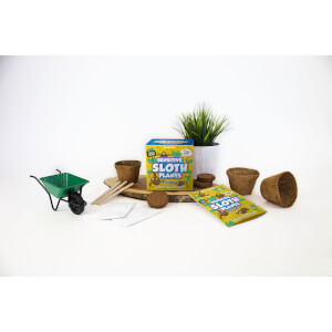 Sow & Grow Sensitive Sloth Plants