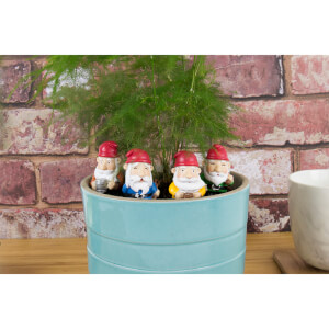 Plant Pot Gnomes