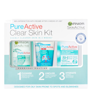 Garnier Pure Active Anti Blemish Skincare Regime Kit