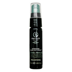 Paul Mitchell Awapuhi Wild Ginger HydroMist Blow-Out Spray 25ml