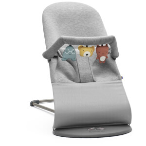baby bjorn accessories