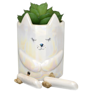 Candlelight Ceramic Cat Pot with Legs and Succulent