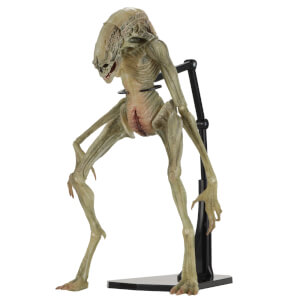 NECA Aliens - 7" Scale Action Figure - Deluxe Alien Resurrection Newborn