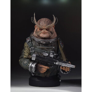 Mini buste Gentle Giant – Rogue One : A Star Wars Story – Bistan échelle 1/6