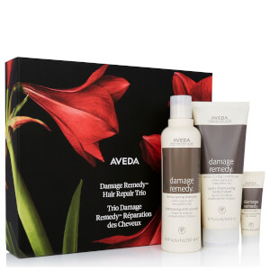 Aveda Damage Remedy Gift Set 475ml