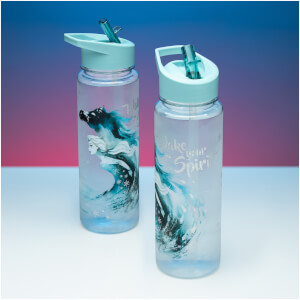 Frozen 2 Water Bottle