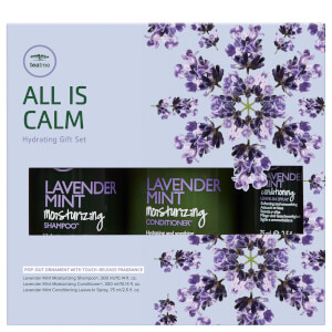 Paul Mitchell Tea Tree Lavender Mint Gift Set (Worth £43.45)