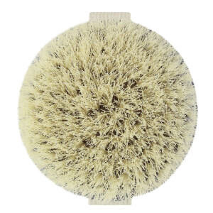 EcoTools Dry Body Brush
