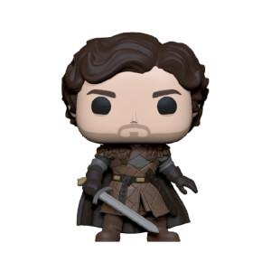 funko pop game of thrones ned stark