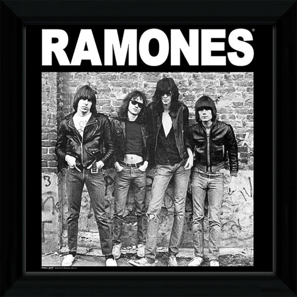 The Ramones Album - 12
