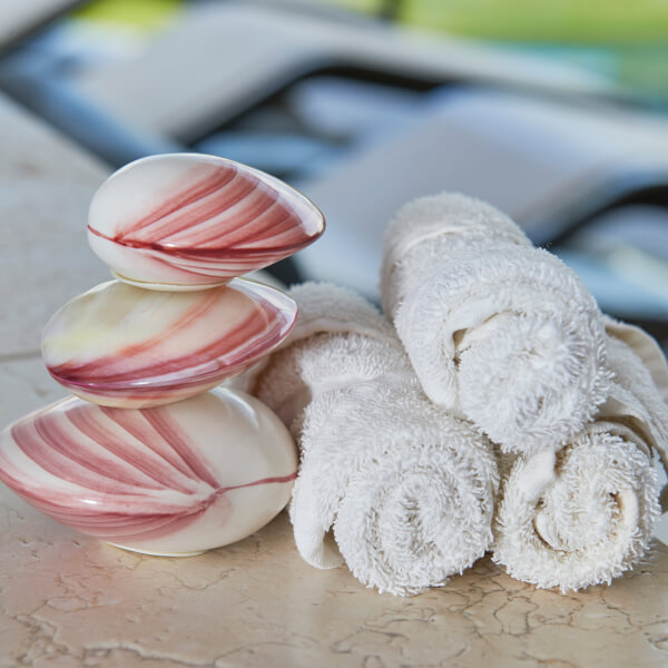 Massage Therapies - Hot Lava Shell Massage Massage Therapies - Hot Lava Shell Massage