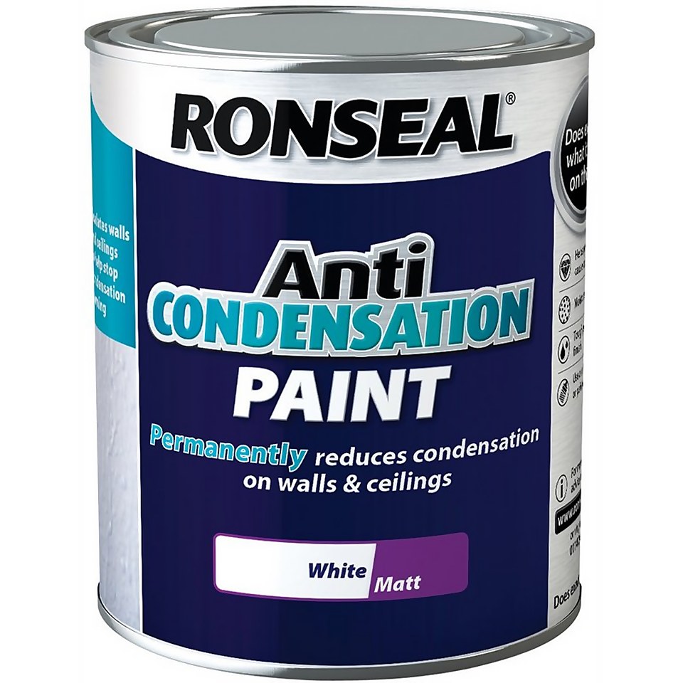 Ronseal Anti Condensation Paint White 750ml Homebase