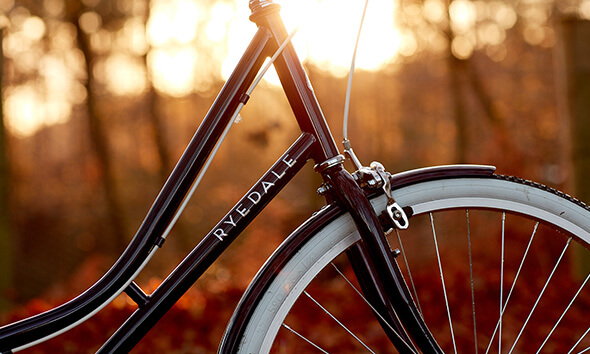 Ryedale Ladies Bike