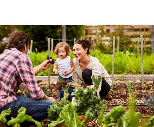 Как мы обеспечиваем чистоту нашей органической продукции