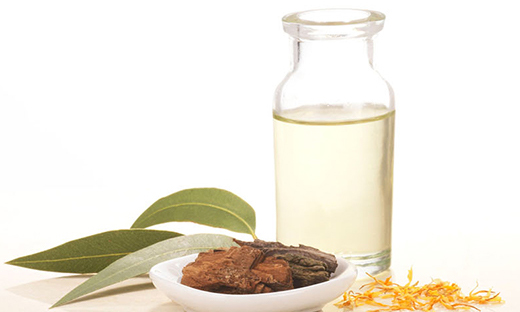 Willow Bark Extract