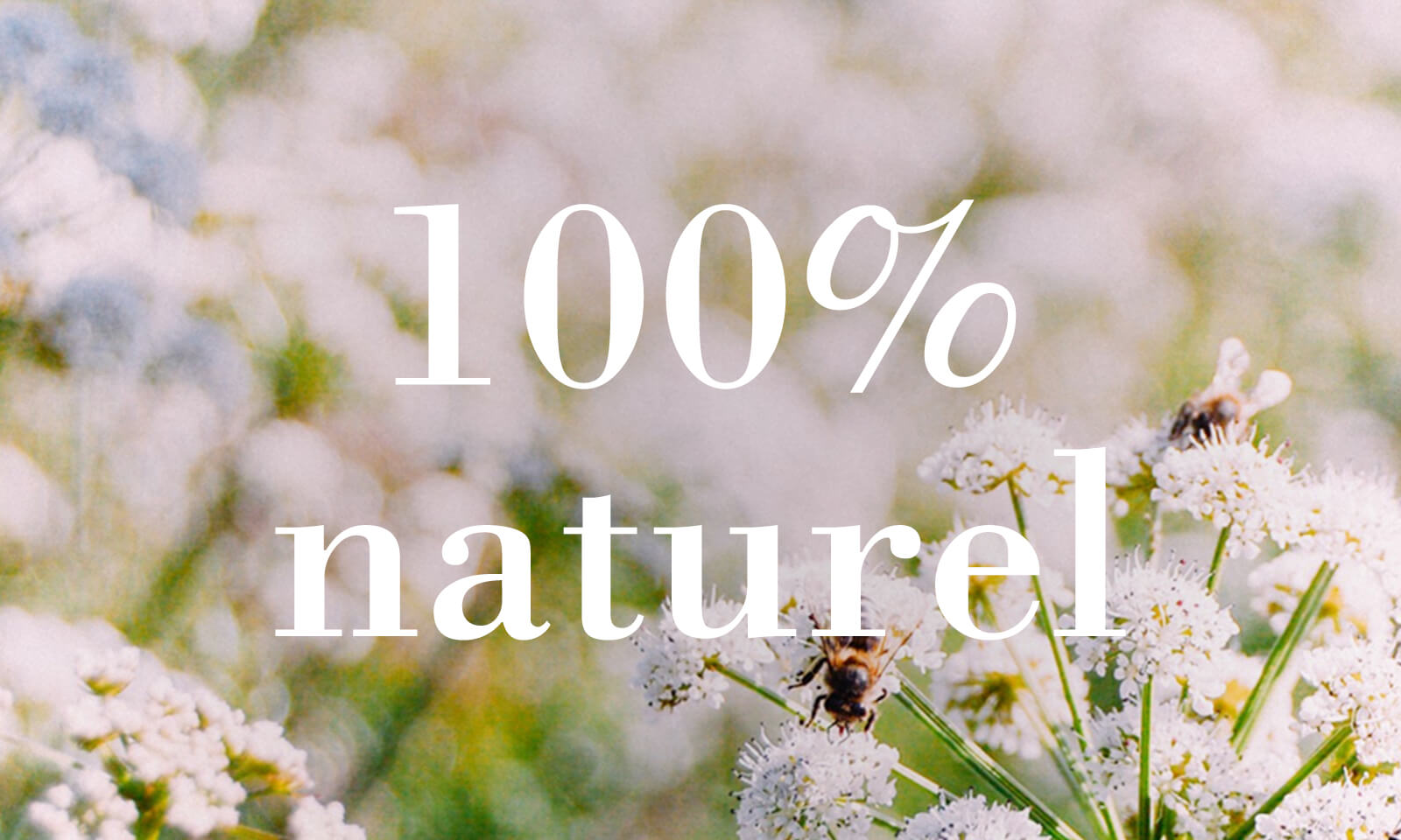 Tout ce dont nous dépendons pour survivre provient de la nature