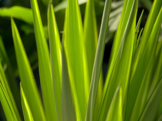 Environmentally committed to nature