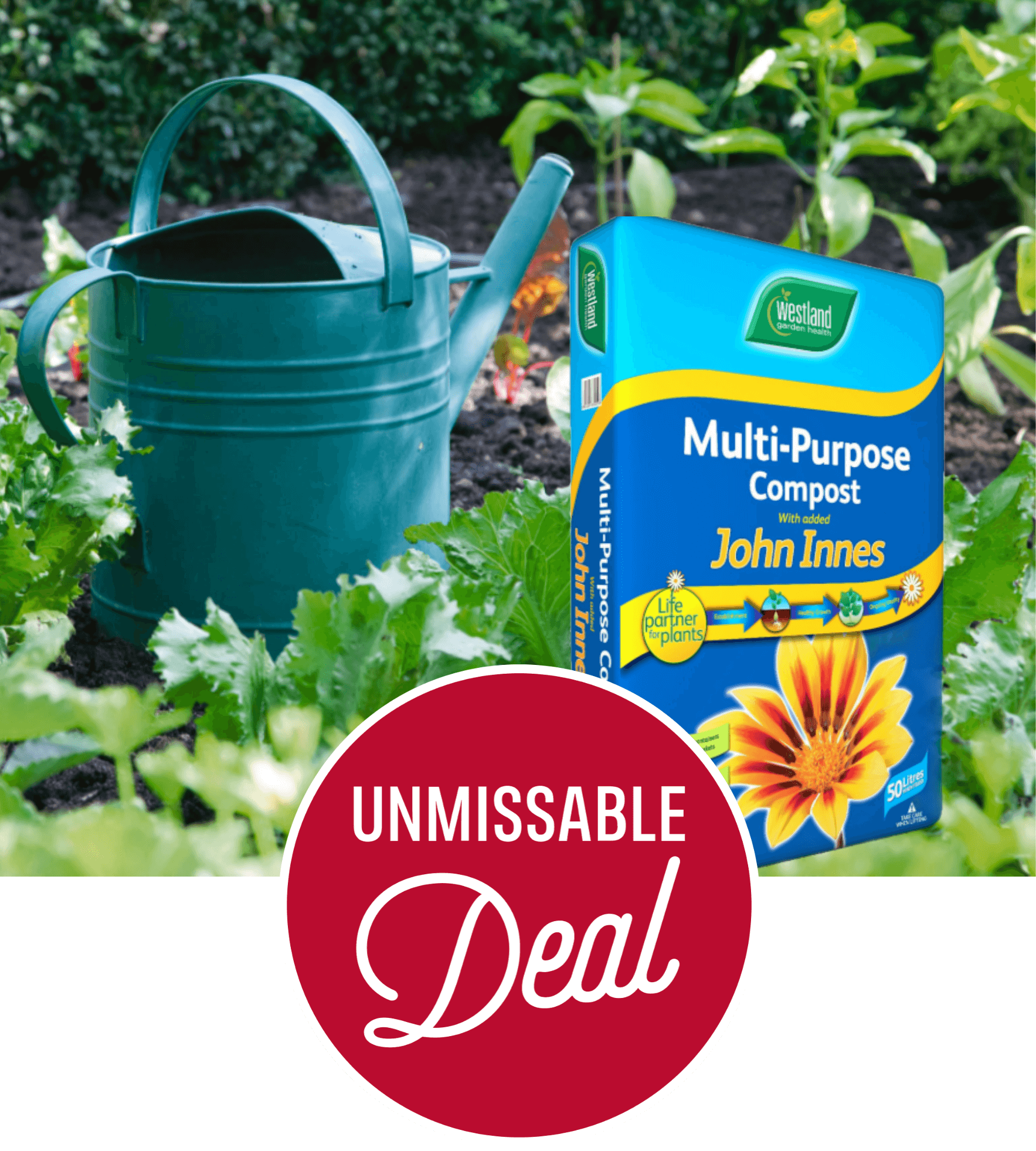 Homebase DIY That Turns Your House Into A Home 🏠 Homebase