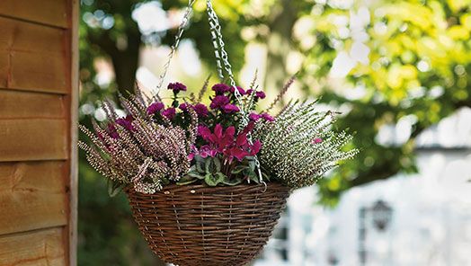 homebase artificial hanging baskets