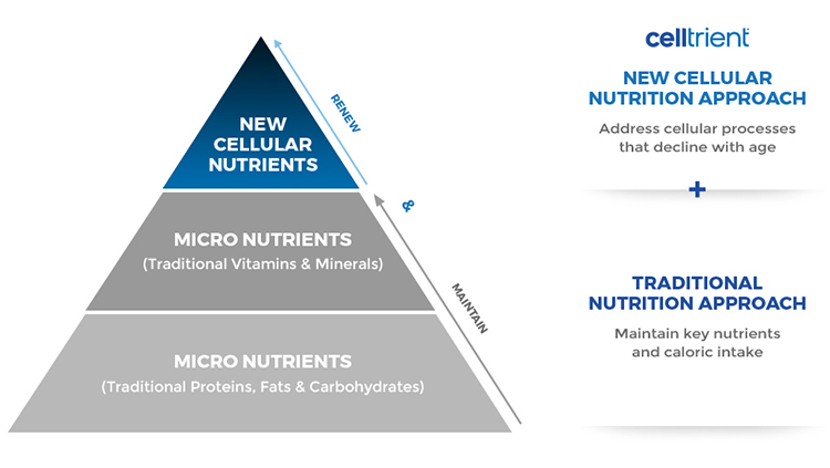 Pyramid of Cellular Nutrients