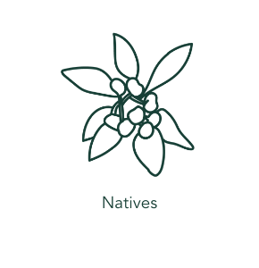 Natives